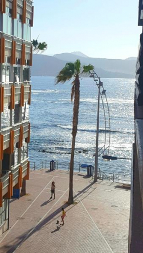 Sea Stars Las Canteras